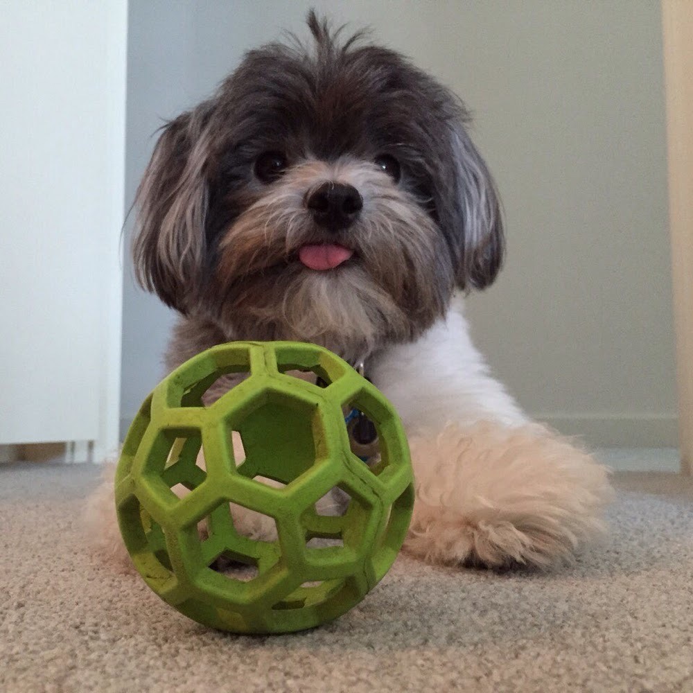 Meet your Posher, Angela